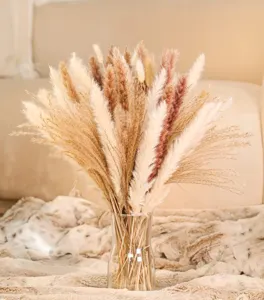 Natural dried pampas grass bouquet with glass vase for home decor boho room aesthetic floral arrangement