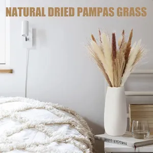 Detailed view of natural dried pampas grass bouquet in white ceramic vase on nightstand.