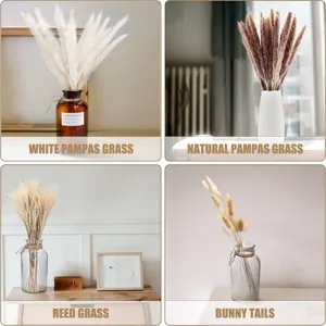 Dried pampas grass bunny tails reed bouquet detail display for modern home decor interior.