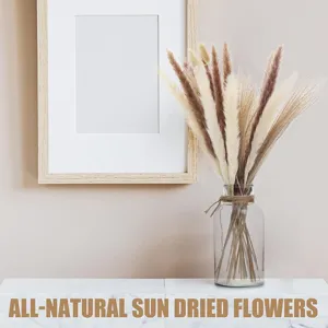 Detailed view of natural dried pampas grass bouquet in glass vase for home decor setup.