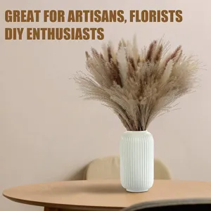 Detailed view of fluffy natural dried pampas grass bouquet in a white ribbed ceramic vase.