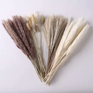 Natural dried pampas grass and bunny tails bouquet, perfect for boho home decor and styling.