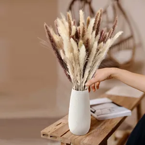 Closeup of natural dried pampas grass bouquet with rabbit tails in white vase for home decor.