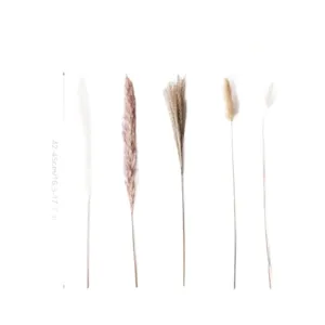 Natural dried pampas grass bouquet bunny tails reed floral home decor arrangement 45cm