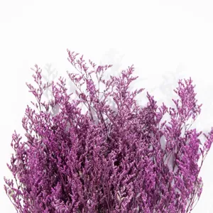Vista dettagliata di fiori secchi di statice viola, perfetti per decorazioni e composizioni.