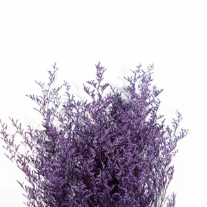 Bellissimo mazzo di fiori secchi viola statice per decorazione soggiorno regalo