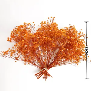 Mini gypsophila dried flowers orange bouquet home decor photo props small floral arrangement