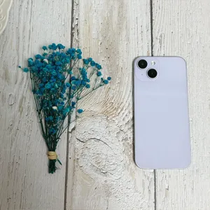 Mini blue baby's breath dried flower bouquet top-down view for home decor and photography prop.