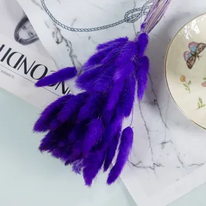 Purple dried rabbit tail grass bouquet for home decoration and photography props detail.