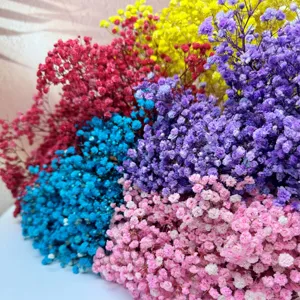 Mini colorful dried baby's breath flower bouquet for home decoration and photography props.