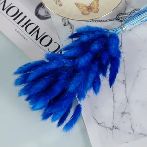 Vibrant blue dried bunny tail grass bouquet detail, perfect for chic home decor and photo props.