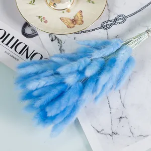 Blue dried rabbit tail grass bouquet natural grass home decor photography props detail shot