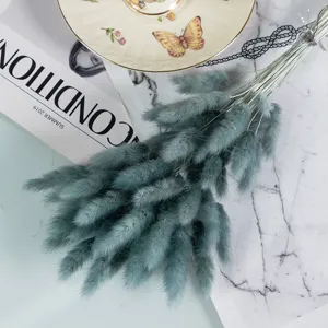 Natural bunny tails dried flowers, perfect for home decor, vase filler and photography props.