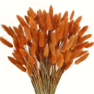 Natural Dried Bunny Tails Flowers Bouquet Home Decor Photography Props Colorful Reeds Grass Floral Arrangement