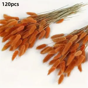 Natural dried bunny tail grass orange fluffy flowers 120pcs for home decor and crafts