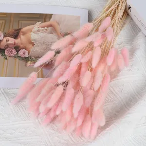 Natural pink dried bunny tail grass bouquet for home decoration, floral arrangement and photo props.
