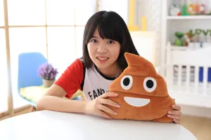 Funny brown poop plush pillow cute cartoon emoji cushion soft stuffed toy great gift