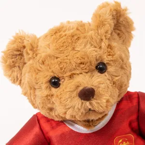 Close-up detail view of cute teddy bear plush toy wearing red football jersey with badge.