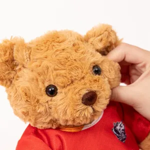 Close-up detail shot of cute brown plush teddy bear wearing red football jersey with club crest.