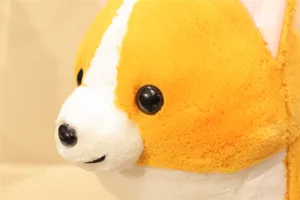 Cute corgi plush toy head detail view, soft stuffed animal plushie texture closeup.