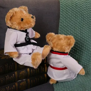 Vue détaillée de mignons ours en peluche taekwondo en uniforme dobok assis sur des livres anciens.
