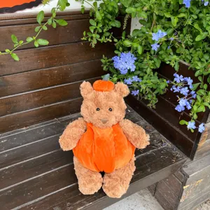 Vista dettagliata del simpatico orsetto di peluche zucca di Halloween su una panca di legno.