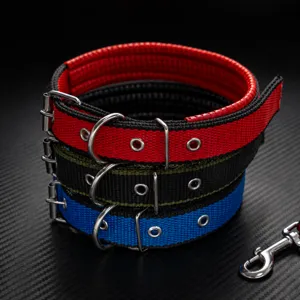Thickened foam padded pet dog collar with durable metal D-rings and multi-color options.