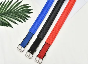 Foam pet collar detail shot, durable padded dog neck strap with metal buckle and D-ring.