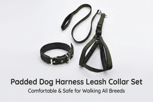 Padded dog harness leash collar set in dark green with comfortable breathable lining for walking.