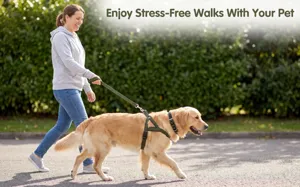 Durable dog harness and leash set for comfortable outdoor walking, adjustable pet vest style.