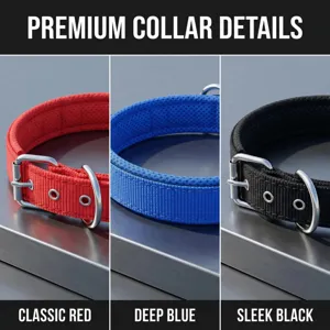 Close-up details of durable nylon pet dog collar with metal buckle in vibrant colors.