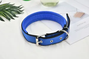 Blue padded dog collar with metal buckle and D-ring for comfortable pet training and daily walking.