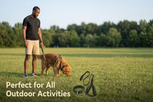 Detailed view of black dog harness and leash set showcased in a natural outdoor grass scene.