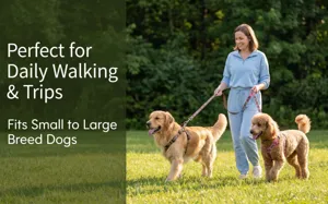 Outdoor scene showing pet dog harness and leash set being used during a walk on grass.