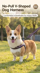 Detailed view of the V-shaped dog harness and leash set, comfortable and breathable for walks.