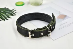 Pet dog collar detail view showing durable nylon webbing, soft foam padding, and metal hardware.