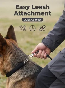 Stainless steel dog choke chain training collar with quick connect leash attachment tool.