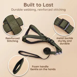 Pet harness detail showing reinforced stitching, sturdy buckle, and foam handle.