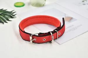 Detail view of the red and black padded dog collar showing soft foam and durable metal hardware.