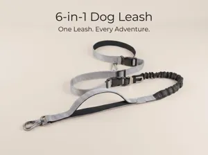 6-in-1 multi-functional dog leash with elastic shock absorber and hands-free design.