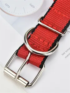 Durable nylon pet dog collar detail shot featuring heavy-duty metal D-ring and buckle.