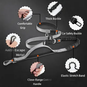 Multifunctional Dog Leash Bungee Pet Lead Dual Handle Reflective Lead For Running Hiking Car Seat Belt