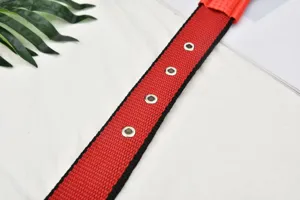 Detailed view of red and black pet dog collar strap with metal eyelet hardware and foam.