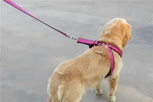 Detailed view of pink pet dog harness and leash set, comfortable design for walking outdoor pets.