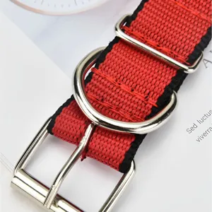 Durable red and black nylon pet dog collar with heavy duty metal hardware and D-ring.
