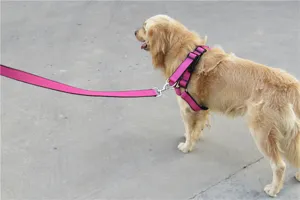 Pink dog harness leash set detail view, comfortable vest style pet chest strap for daily walk.