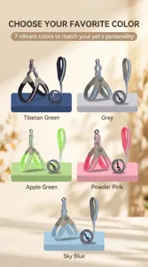 Mesh pet harness and leash set breathable dog vest with multi-color options for outdoor walking.