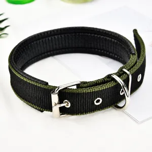Durable black and green nylon dog collar with metal buckle and D-ring for daily pet walking.