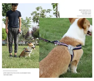 Dog harness and leash set breathable mesh pet vest adjustable outdoor walking pet supplies