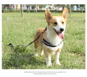 Dog harness vest breathable puppy leash set anti-escape pet walking outdoor supplies